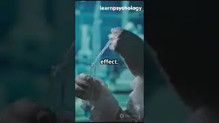 True vs Quasi Experiment #psychology #research #facts