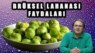 BRÜKSEL LAHANASI FAYDALARI / Brüksel Lahanası Nasıl kullanılır