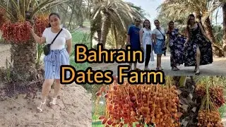dates farm sa bahrain