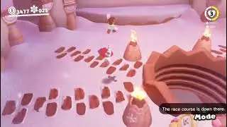 Database - Bonneter Bounce