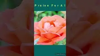 |Essential Deed For Paradise |Labbaik Allah |Learn Koran |Improve Knowledge|ICC Men's T20 World Cup|