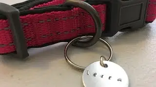 DIY METAL DOG TAG