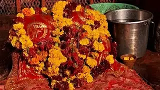 Tapan Kumar chatterjee 5337 is live