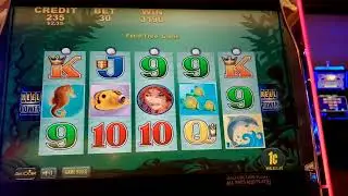 5$ dollars & a dream @ Seneca Niagara Resorts casino 🤑🎰 #senecacasino