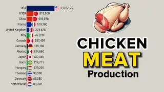The Largest Chicken Meat Producers in The World