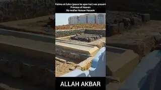 Fatima al-Zahra (peace be upon her) was presentPrincess of HeavenMy mother Hassan Huss#shorts #islam