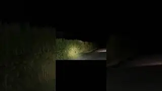 😱CORNFIELDS AT NIGHT😳