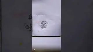 pencil sketch flower drawing easy basic learning tutorials/ফুল আঁকা#sketch #shorts #flowers #drawing