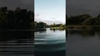 #EverCalm  #calm   #relax  #nature  #peace  #naturesounds      #relaxingvideos   #sleepsounds