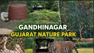Gujarat Travel Vlog | Bus Journey to Gandhinagar Nature Park & Sabarmati Ashram