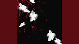 dead bird