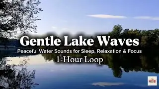 [1-Hour Loop] Gentle Lake Waves | Peaceful Water Sounds for Sleep, Relaxation & Focus #PeacefulVibes