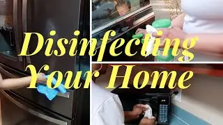 CLEAN AND DISINFECT YOUR SURROUNDINGS |