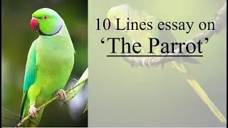 10 Lines Essay on The Parrot | Essay on My Favourite Bird | Parrot | Birds | Essay for kids |