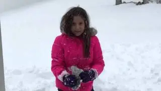 #blizzard2016