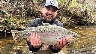 North Georgia Trout Fishing At Bears 2024 Soque River