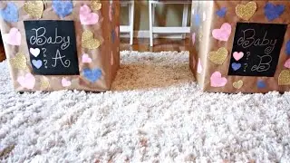 We are having... | Twins Gender Reveal