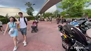 Disney World Epcot live stream