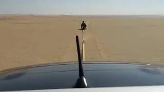 Samuel Dunes Knee Sand Board
