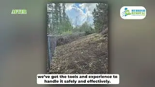 Maple Ridge&rsquo;s Blackberry Bush Removal by Big Phil&rsquo;s Rubbish Removal