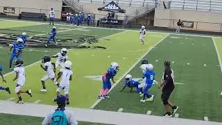 8U ALABAMA HORNETS VS 8U AG GASDEN