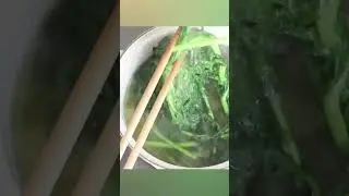 Garland Chrysanthemum Ohitashi Recipe (Japanese salad soaked dashi sauce/shungiku/crown daisy)春菊おひたし