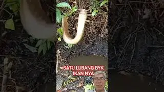 Lubang gacorr #fishing #mancingmania