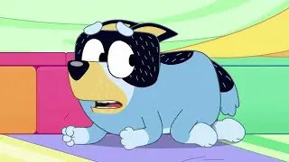 Bluey - Cubby [Clip]