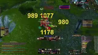 WTB ASHKANDI