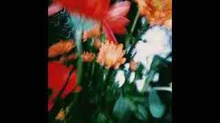 (Free) sweet william x nf zessho type beat 