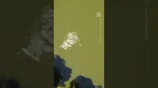 FL Man Injured During Gator Attack in Lake Thonotosassa