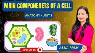 Main Components of a Cell &ndash; Explained in Hindi | ALKA PANDEY