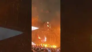 🌸 Ultra Japan 2025 | Martin Garrix&rsquo;s Explosive Set in Tokyo! 🎆🔥#ultra
