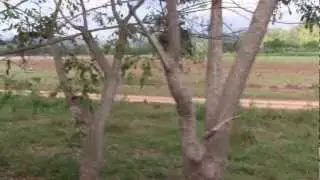 Puntarenas, Costa Rica