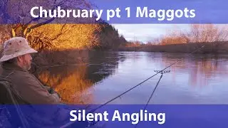 Winter River Fishing UK Wye Chub maggot feeder tips rigs tackle silent angling
