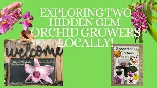 Unexpected Orchid Adventure: Exploring Mac's Orchids & Green House Nurseries!