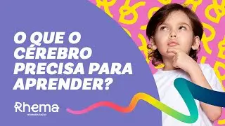 Neuroplasticidade e Aprendizagem: O Que o Cérebro Precisa para Aprender?