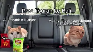 Pov: liburan ke Bali (1) | Meme Kucing | #pov #meme #kucing #cat