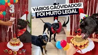 MINHA FESTA DE ANIVERSÁRIO DE 3 ANOS! 🥳🎂🎉