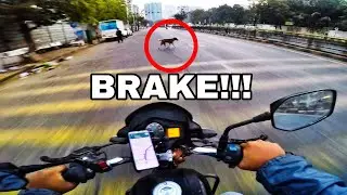 Suddenly Dog in Front of My Bike 😱