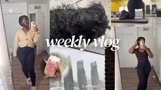 weekly vlog ❁| dog sitting for a friend, small clothing haul, pilates for the first time & more