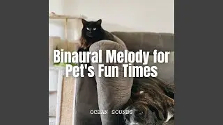 Serene Pet Harmony
