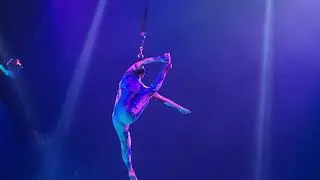 #wow #now eevee whatchies paranormal cirque sky dance 