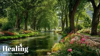 Nature&rsquo;s Calm Ambience & Gentle Melodies 🍃 Soothe Your Heart, Ease Stress & Sleep Peacefully