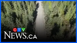Calls from B.C. First Nations prompt Google Maps to change remote road directions