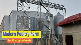 Layer Shed-7 | Poultry farms | Electrical Work | Bangladesh Poultry |