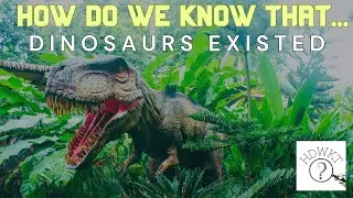 How Do We Know That Dinosaurs Existed?