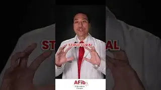 What Really Triggers AFib?