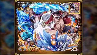 OPTC Legend Guide - Whitebeard & Marco