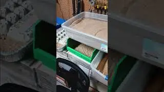 Superworm farm - startup costs and adjustments